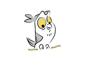 Owl01