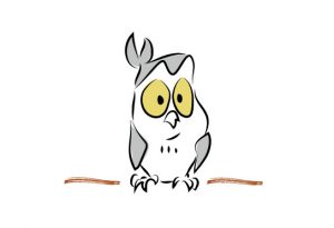Owl02