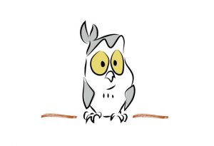 Owl02